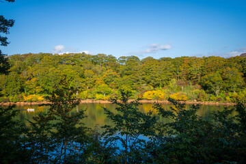 城県栗原市、秋田県湯沢市、雄勝郡東成瀬村、岩手県一関市にある栗駒山近くの湖畔キャンプ場の紅葉の時期の風景 Scenery of the lakeside campground near Mt. Kurikoma in Kurihara City, Castle Prefecture; Yuzawa City, Akita Prefecture; Higashinaruse Village, Oga