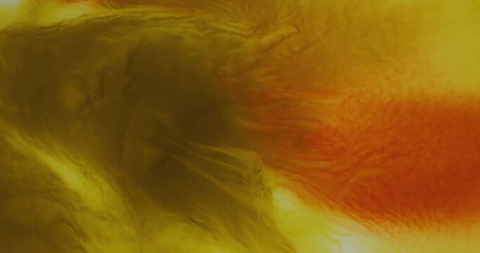 Yellow paint spreads over white abstraction background. 4k footage yellow-orange ink mixing transition in motion. Close-up yellow paint in art backdrop. Dynamic liquid texture of screensaver wallpaper