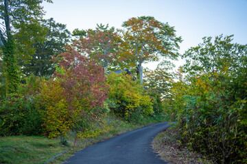 城県栗原市、秋田県湯沢市、雄勝郡東成瀬村、岩手県一関市にある栗駒山近くの湖畔キャンプ場の紅葉の時期の風景 Scenery of the lakeside campground near Mt. Kurikoma in Kurihara City, Castle Prefecture; Yuzawa City, Akita Prefecture; Higashinaruse Village, Oga