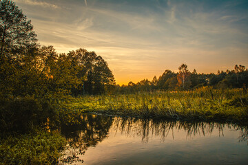 510 / 5000
Wyniki tłumaczenia
Autumn landscape illuminated by the setting sun. - obrazy, fototapety, plakaty