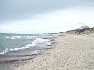 Fototapeta na wymiar Sand dunes by the sea. Reserve Curonian Spit 