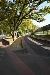 公園を散歩