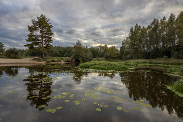 Landscape overlooking the river. Summer landscape with cloudy sky, old pine forest and river. Lots of juicy greens.