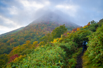 Fototapeta premium 宮城県栗原市、秋田県湯沢市、雄勝郡東成瀬村、岩手県一関市にある栗駒山を紅葉の時期に登山する風景A view of climbing Mt. Kurikoma in Kurihara City, Miyagi Prefecture, Yuzawa City, Akita Prefecture, during the autumn foliage season.