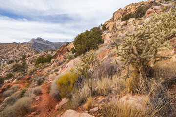 Hiking trail in Red Rock Canyon, Nevada, USA