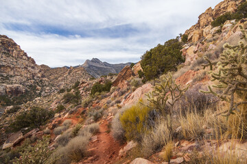 Hiking trail in Red Rock Canyon, Nevada, USA