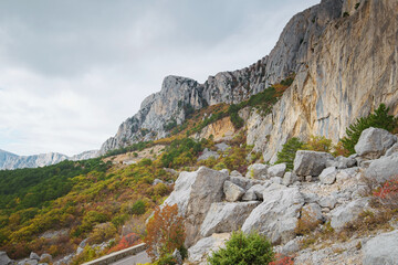 Asphalt road in a summer forest on a cloudy day. Crimean mountains