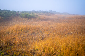 Fototapeta premium 宮城県栗原市、秋田県湯沢市、雄勝郡東成瀬村、岩手県一関市にある栗駒山を紅葉の時期に登山する風景A view of climbing Mt. Kurikoma in Kurihara City, Miyagi Prefecture, Yuzawa City, Akita Prefecture, during the autumn foliage season.