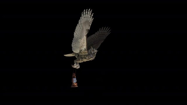 Flying Owl with Burning Lantern - 3D Animation Loop - Down View - Alpha Channel