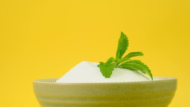 Fresh stevia branch in stevia powder .Rotation.Natural   sugar alternative.Organic  low calorie sweetener