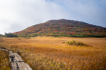 宮城県栗原市、秋田県湯沢市、雄勝郡東成瀬村、岩手県一関市にある栗駒山を紅葉の時期に登山する風景A view of climbing Mt. Kurikoma in Kurihara City, Miyagi Prefecture, Yuzawa City, Akita Prefecture, during the autumn foliage season.