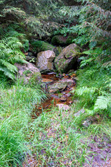 Harz Wanderung Brocken 
