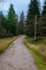 Harz Wanderung Brocken 