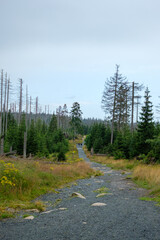 Harz Wanderung Brocken 