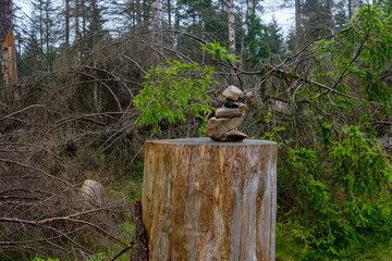 Harz Wanderung Brocken 