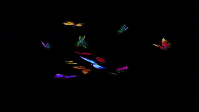 14 Rainbow Butterflies - Flying Loop - Alpha Channel - 3D Animation