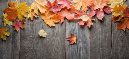 autumn leaf frame for words and inscriptions, copy space