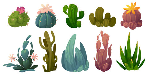 Set of cactus, desert cacti flowers stetsonia, carnegia, selenicereus and rhipsalidopsis with saguaro or opuntia. Cartoon blooming succulents with green prickly leaves and blossoms Vector illustration