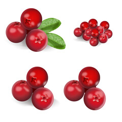 lingonberry