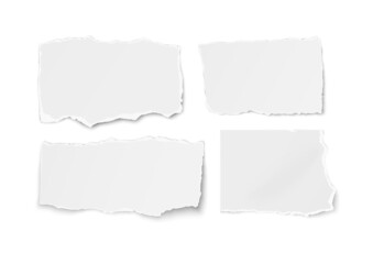 Obraz premium Set of paper different shapes ripped scraps fragments wisps isolated on white.