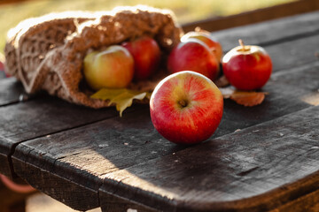 Red apples in a knitted bag on a wooden table in the garden on a warm autumn day.