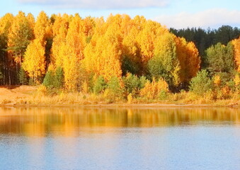 autumn trees on the lake
