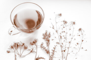 Tea in a glass cup. Herbs and flowers on a white table around a mug with a herbal drink. Sepia style