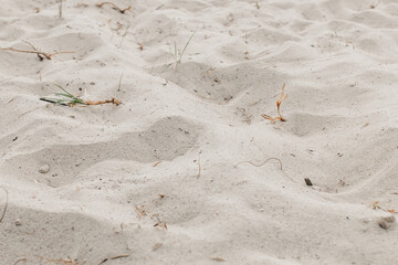 sand castle on the beach