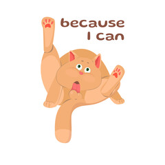 cat licks his balls, rad cat, ginger cat, funny cat, funny pet, the cat is washing, funny washing cat,  funny t-shirt print, funny picture with a cat, because i can