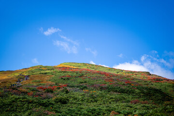 宮城県栗原市、秋田県湯沢市、雄勝郡東成瀬村、岩手県一関市にある栗駒山を紅葉の時期に登山する風景A view of climbing Mt. Kurikoma in Kurihara City, Miyagi Prefecture, Yuzawa City, Akita Prefecture, during the autumn foliage season.
