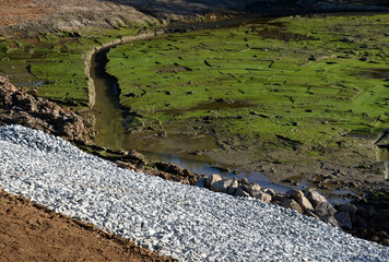 The mud at the bottom of the pond is green with algae that have overgrown fertilized alluvial...