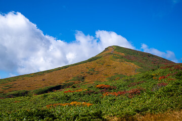 宮城県栗原市、秋田県湯沢市、雄勝郡東成瀬村、岩手県一関市にある栗駒山を紅葉の時期に登山する風景A view of climbing Mt. Kurikoma in Kurihara City, Miyagi Prefecture, Yuzawa City, Akita Prefecture, during the autumn foliage season.