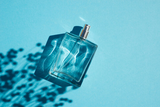 Transparent bottle of perfume on a blue background. Fragrance presentation with daylight. Trending concept in natural materials with plant shadow. Women's and men's essence.