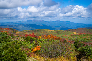 宮城県栗原市、秋田県湯沢市、雄勝郡東成瀬村、岩手県一関市にある栗駒山を紅葉の時期に登山する風景A view of climbing Mt. Kurikoma in Kurihara City, Miyagi Prefecture, Yuzawa City, Akita Prefecture, during the autumn foliage season.