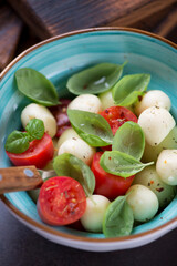 Closeup of salad with melon balls, cherry tomatoes, scamorza cheese and fresh green basil served in a turquoise bowl, vertical shot