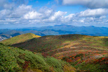 宮城県栗原市、秋田県湯沢市、雄勝郡東成瀬村、岩手県一関市にある栗駒山を紅葉の時期に登山する風景A view of climbing Mt. Kurikoma in Kurihara City, Miyagi Prefecture, Yuzawa City, Akita Prefecture, during the autumn foliage season.