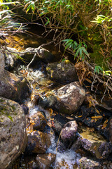 宮城県栗原市、秋田県湯沢市、雄勝郡東成瀬村、岩手県一関市にある栗駒山を紅葉の時期に登山する風景A view of climbing Mt. Kurikoma in Kurihara City, Miyagi Prefecture, Yuzawa City, Akita Prefecture, during the autumn foliage season.