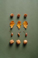 Creative layout with pine cones, dry oak leaves, acorns, walnuts on green background. Autumn, fall...