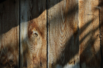 Drewniane tło. Stare deski oświetlone słońcem - obrazy, fototapety, plakaty