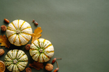 Happy Thanksgiving concept. Autumn composition with ripe pumpkins, fallen leaves, walnuts, acorns...
