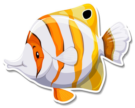 Teardrop butterflyfish sea animal sticker