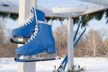 Blue skates hang on the background of snowy nature. Sport and healthy lifestyle concept.