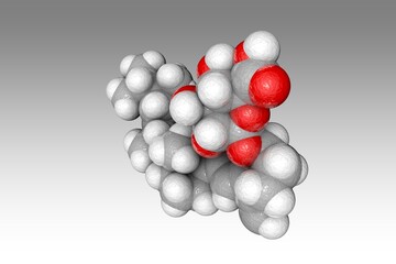 Space-filling molecular model of vitamin D2 3-glucuronide. Atoms are shown as spheres with conventional color coding: carbon (gray), oxygen (red), hydrogen (white). 3d illustration