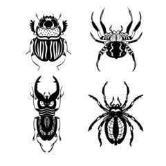 Set of beetles and spiders line vector illustrations. Hand drawing style
