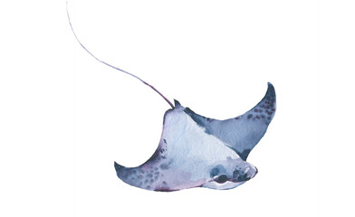 Stingray watercolor collection, Set of sea animals Blue ocean Stingray fish.