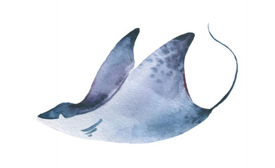 Stingray watercolor collection, Set of sea animals Blue ocean Stingray fish.