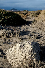 Roca volcánica (Playa de la Tejita, El Médano, Tenerife)