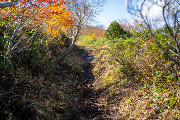 宮城県栗原市、秋田県湯沢市、雄勝郡東成瀬村、岩手県一関市にある栗駒山を紅葉の時期に登山する風景A view of climbing Mt. Kurikoma in Kurihara City, Miyagi Prefecture, Yuzawa City, Akita Prefecture, during the autumn foliage season.