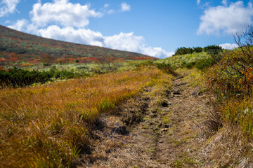 Fototapeta premium 宮城県栗原市、秋田県湯沢市、雄勝郡東成瀬村、岩手県一関市にある栗駒山を紅葉の時期に登山する風景A view of climbing Mt. Kurikoma in Kurihara City, Miyagi Prefecture, Yuzawa City, Akita Prefecture, during the autumn foliage season.