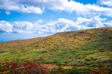 宮城県栗原市、秋田県湯沢市、雄勝郡東成瀬村、岩手県一関市にある栗駒山を紅葉の時期に登山する風景A view of climbing Mt. Kurikoma in Kurihara City, Miyagi Prefecture, Yuzawa City, Akita Prefecture, during the autumn foliage season.